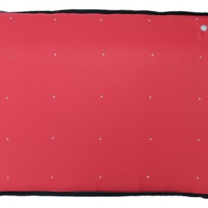 Entry Door Mat RED Entrance for Disinfection Waterproof fabric Washable 90 degrees