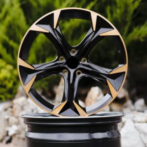 R19 rims suitable for Cupra